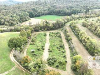 Terreno agricolo in vendita a villaga via giacomuzzi