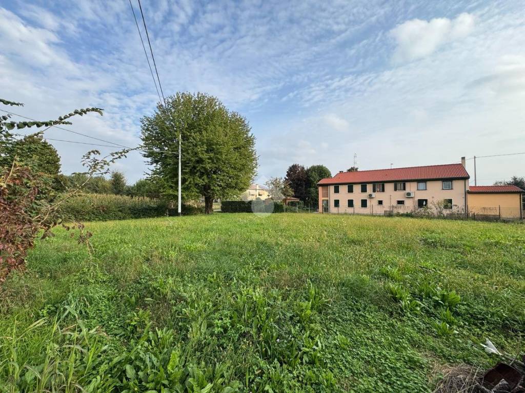 immagine annuncio 2 di 3