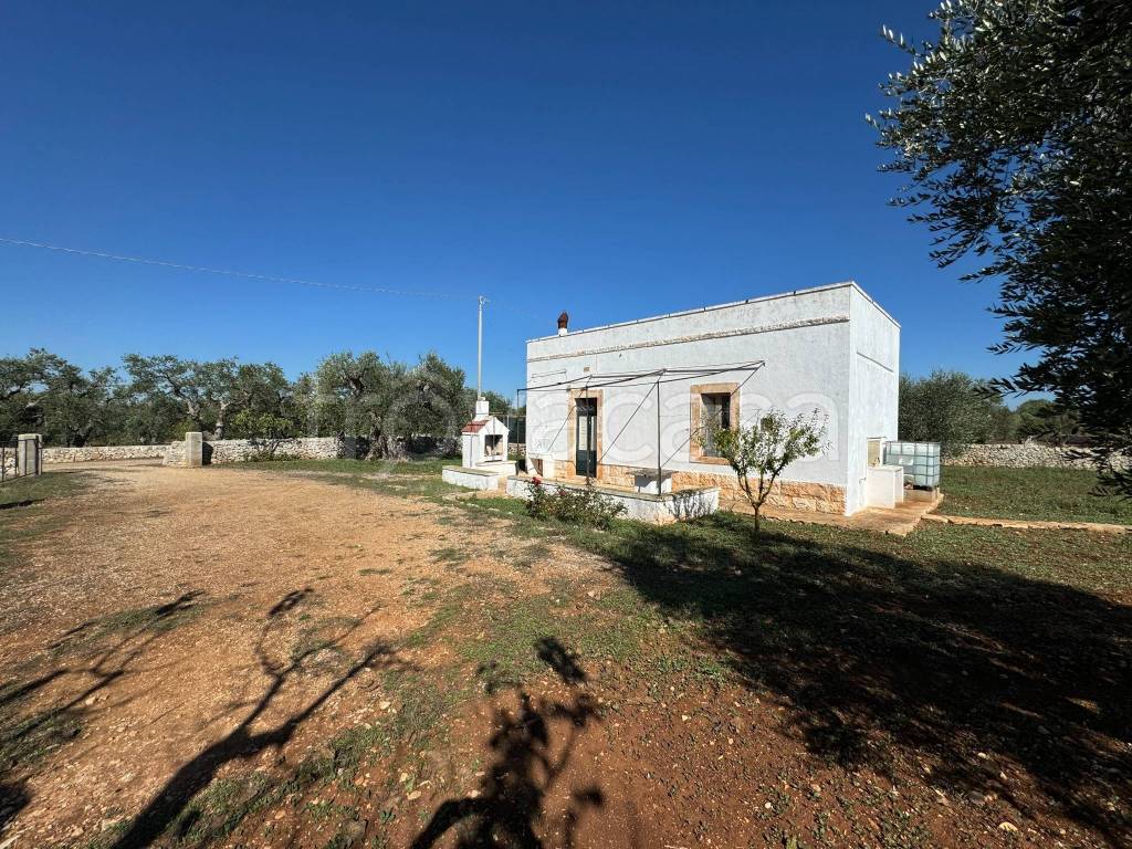 immagine annuncio 1 di 14