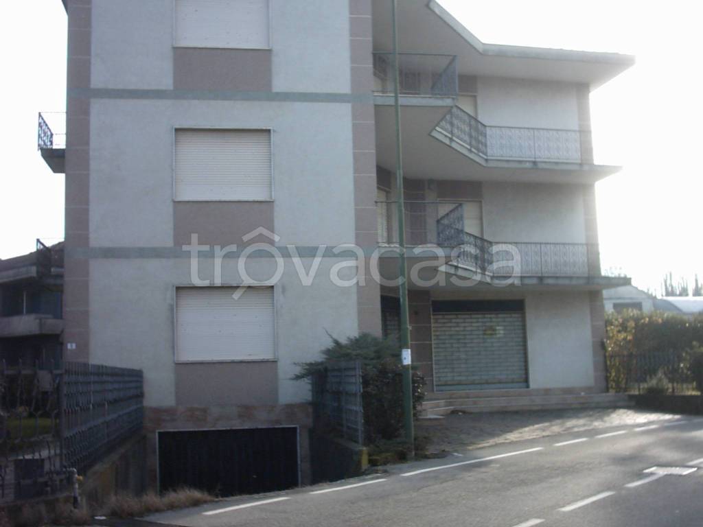 immagine annuncio 5 di 11