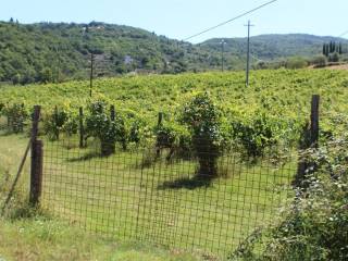 Terreno agricolo in vendita a rufina 