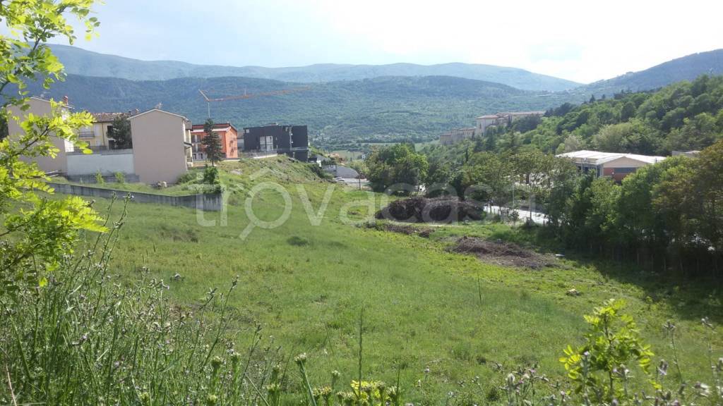 immagine annuncio 2 di 7