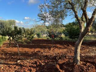 Terreno residenziale in vendita a carovigno 