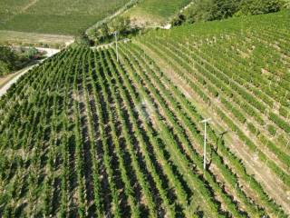 Terreno agricolo in vendita a treiso località meruzzano