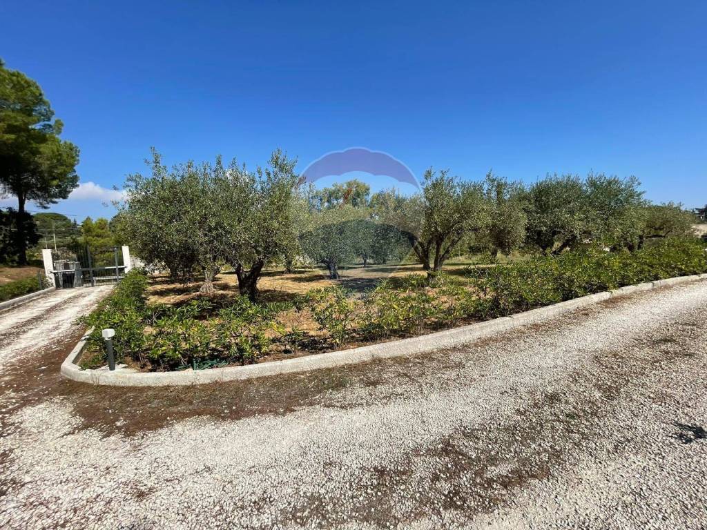 immagine annuncio 8 di 13