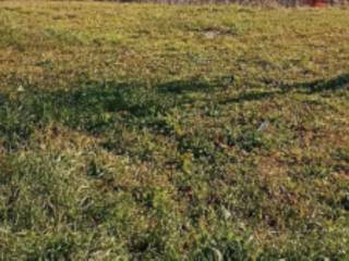 Terreno agricolo in vendita a campobasso contrada san giovanni in golfo