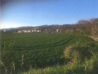 Terreno agricolo in vendita a gubbio località branca