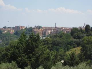 Appartamento in affitto a siena via fiorentina, 84