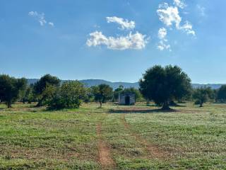 Terreno residenziale in vendita a fasano via eroi dello spazio, 107