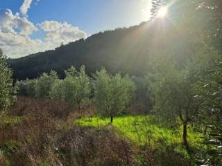 Terreno agricolo in vendita a pistoia saturnana s.n.c.