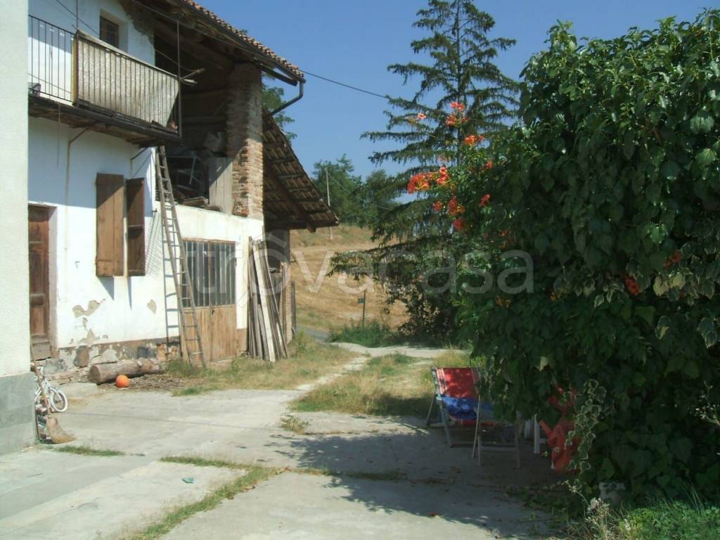 immagine annuncio 11 di 12