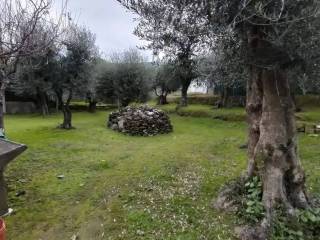 Terreno agricolo in vendita a montignoso 