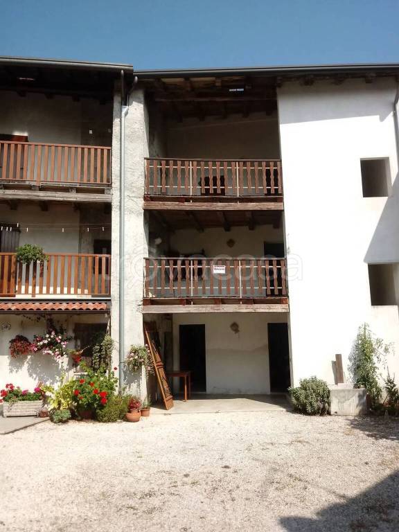 immagine annuncio 2 di 14