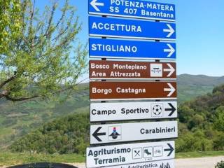 Terreno agricolo in vendita a pietrapertosa castagna