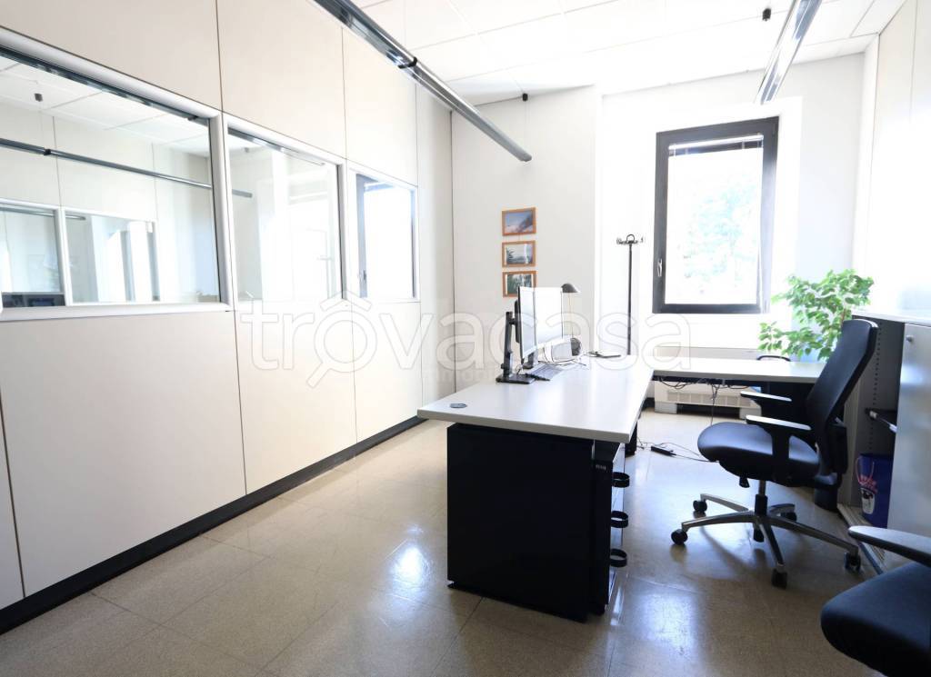 immagine annuncio 3 di 12