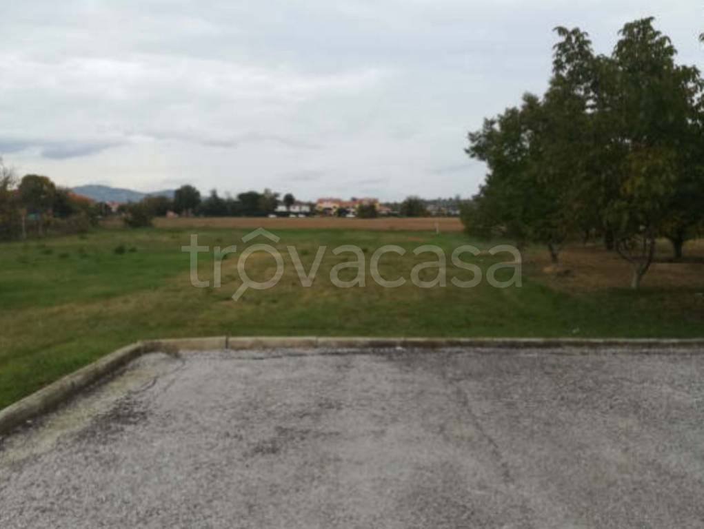 immagine annuncio 8 di 11