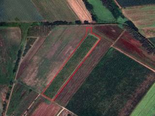 Terreno agricolo in vendita a latina strada della cava, 36