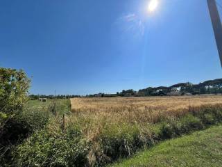 Terreno agricolo in vendita a latina via epitaffio