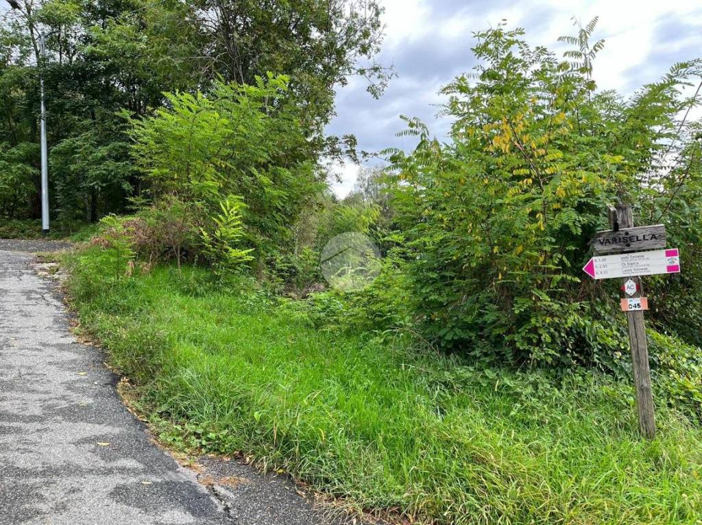 immagine annuncio 2 di 12