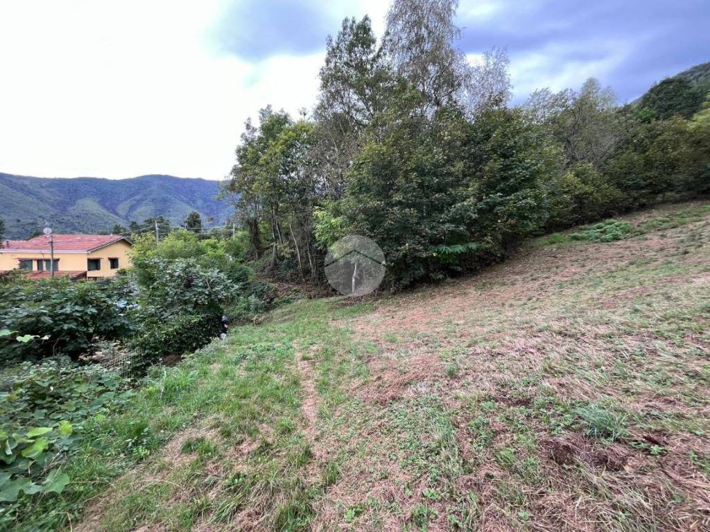 immagine annuncio 5 di 12