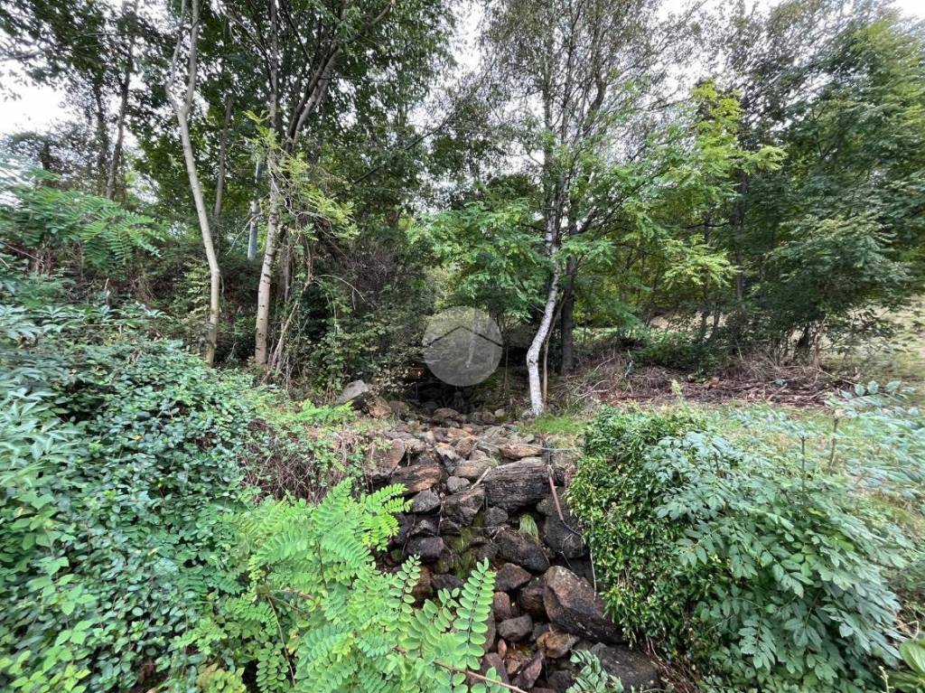 immagine annuncio 4 di 12