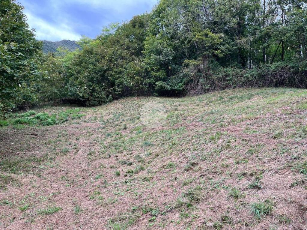 immagine annuncio 6 di 12