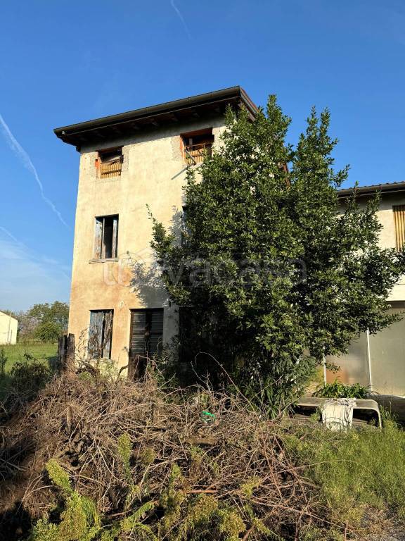 immagine annuncio 3 di 8