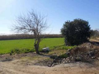 Terreno agricolo in vendita a pachino viale stella maris