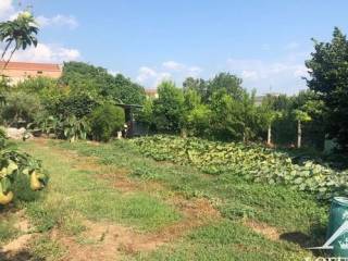 Terreno agricolo in vendita ad acerra via palmentella