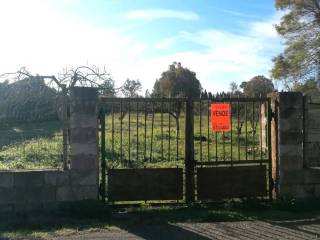 Terreno agricolo in vendita ad alghero galantè