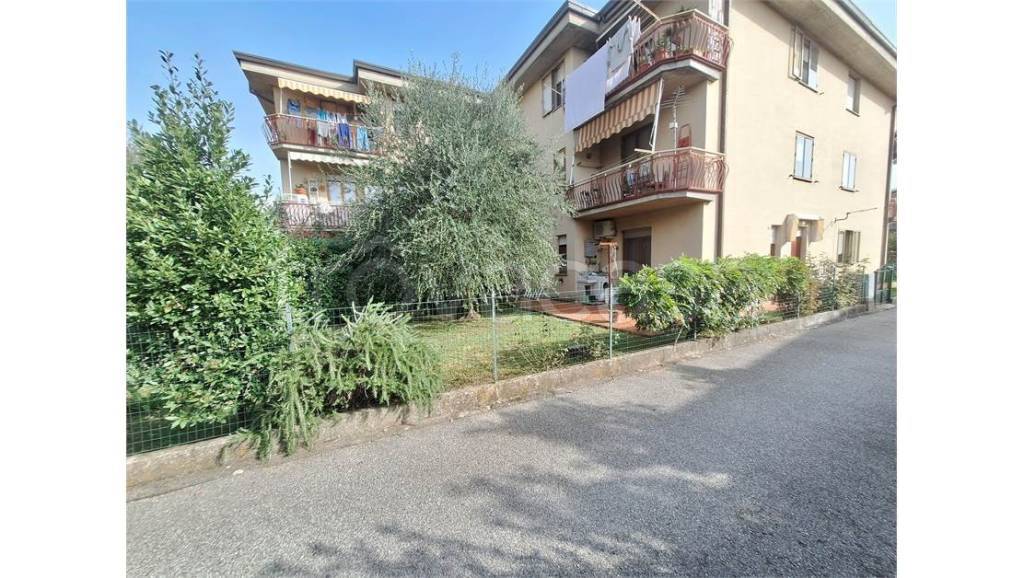 immagine annuncio 2 di 15