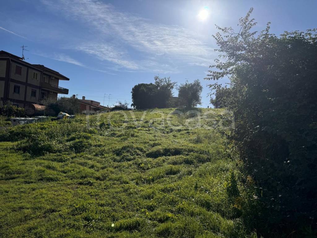 immagine annuncio 2 di 8