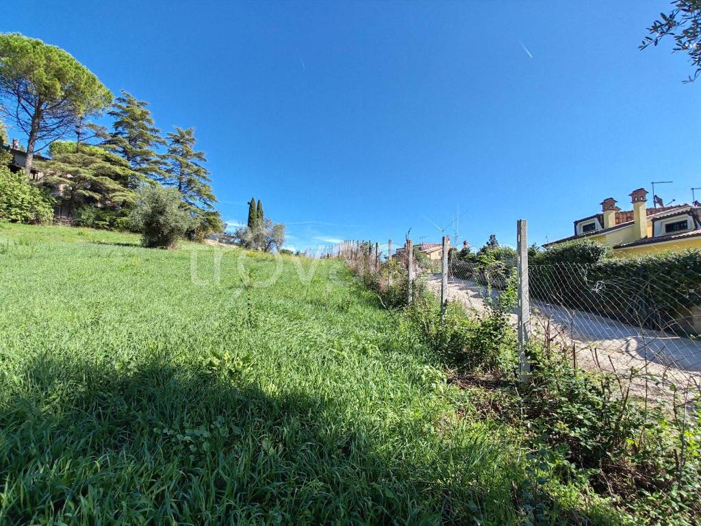 immagine annuncio 11 di 13