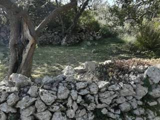 Terreno agricolo in vendita a gaeta via sant'agostino