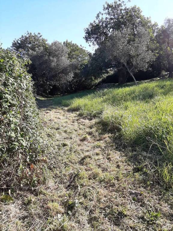 immagine annuncio 5 di 6