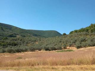 Terreno agricolo in vendita a spello via chiona s.n.c.