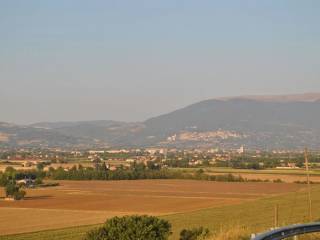 Terreno agricolo in vendita a torgiano 