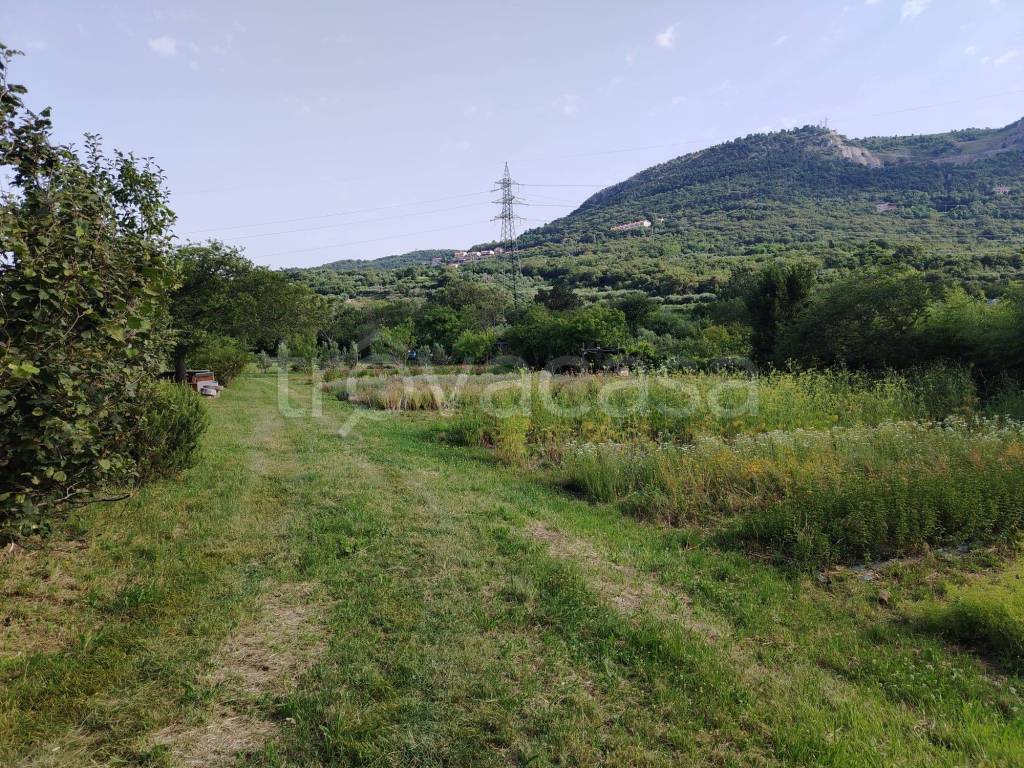 immagine annuncio 10 di 13