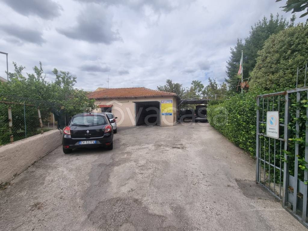 immagine annuncio 6 di 14