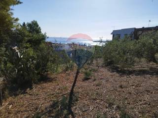 Terreno agricolo in vendita a giardini-naxos via pancrazio de pasquale, sn