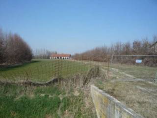 Terreno agricolo in vendita a mogliano veneto via cortellazzo