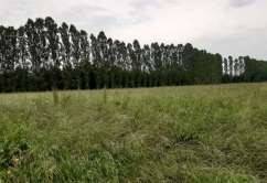 Terreno agricolo in vendita a mogliano veneto via cortellazzo