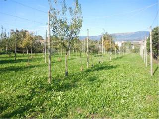 Terreno residenziale in vendita a cappella maggiore 