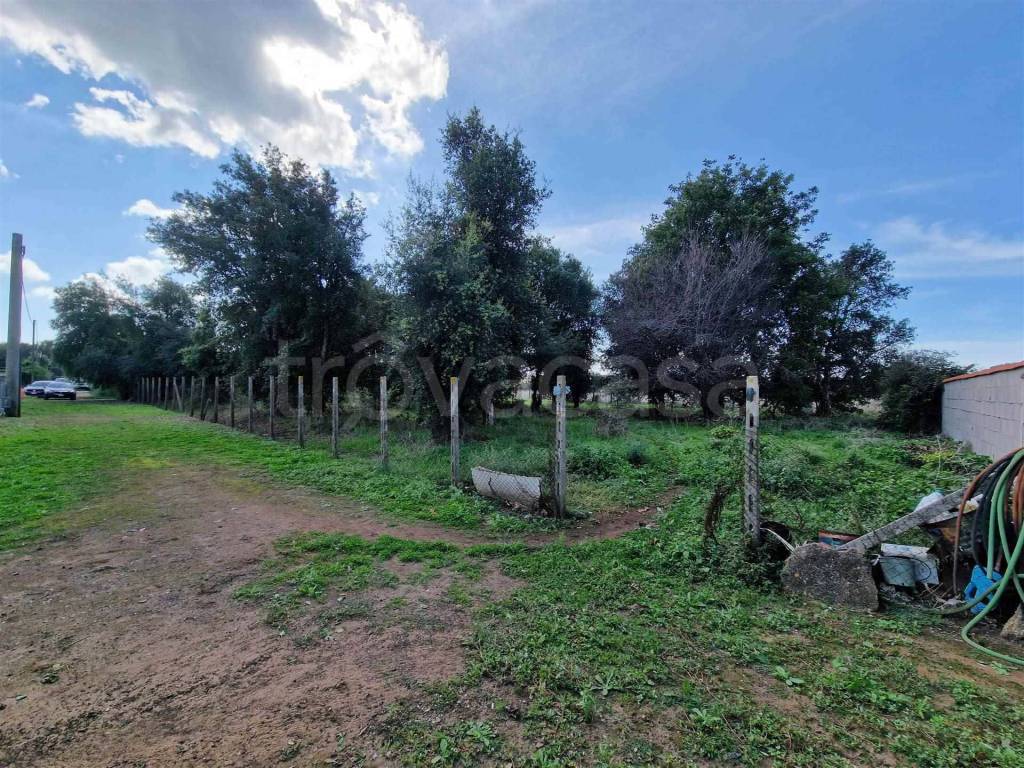 immagine annuncio 1 di 8