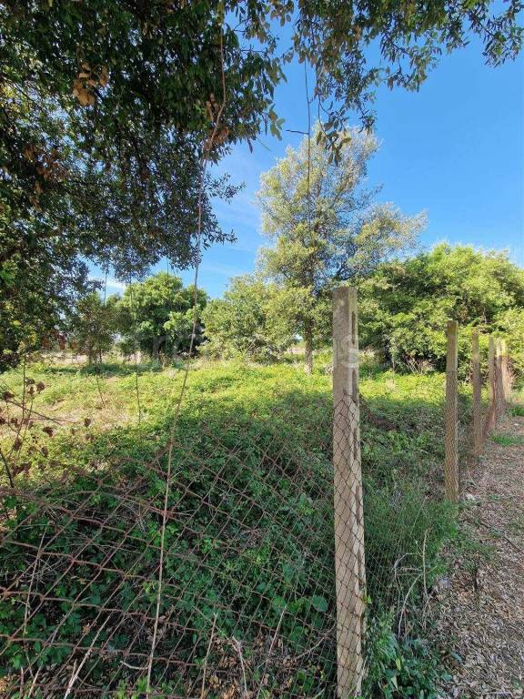 immagine annuncio 2 di 8