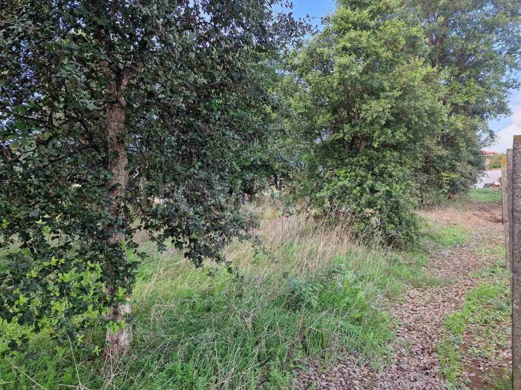 immagine annuncio 5 di 8