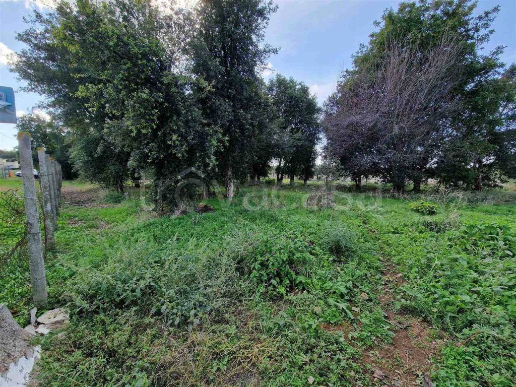 immagine annuncio 7 di 8