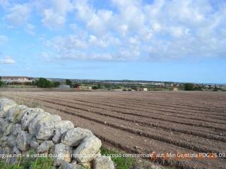 Terreno agricolo in vendita a ispica contrada s.m. del focallo