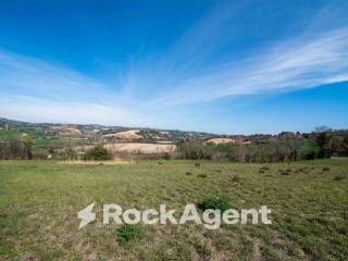 Terreno agricolo in vendita a fano località carignano