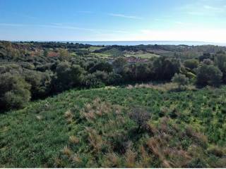 Terreno agricolo in vendita a bari sardo via belvedere